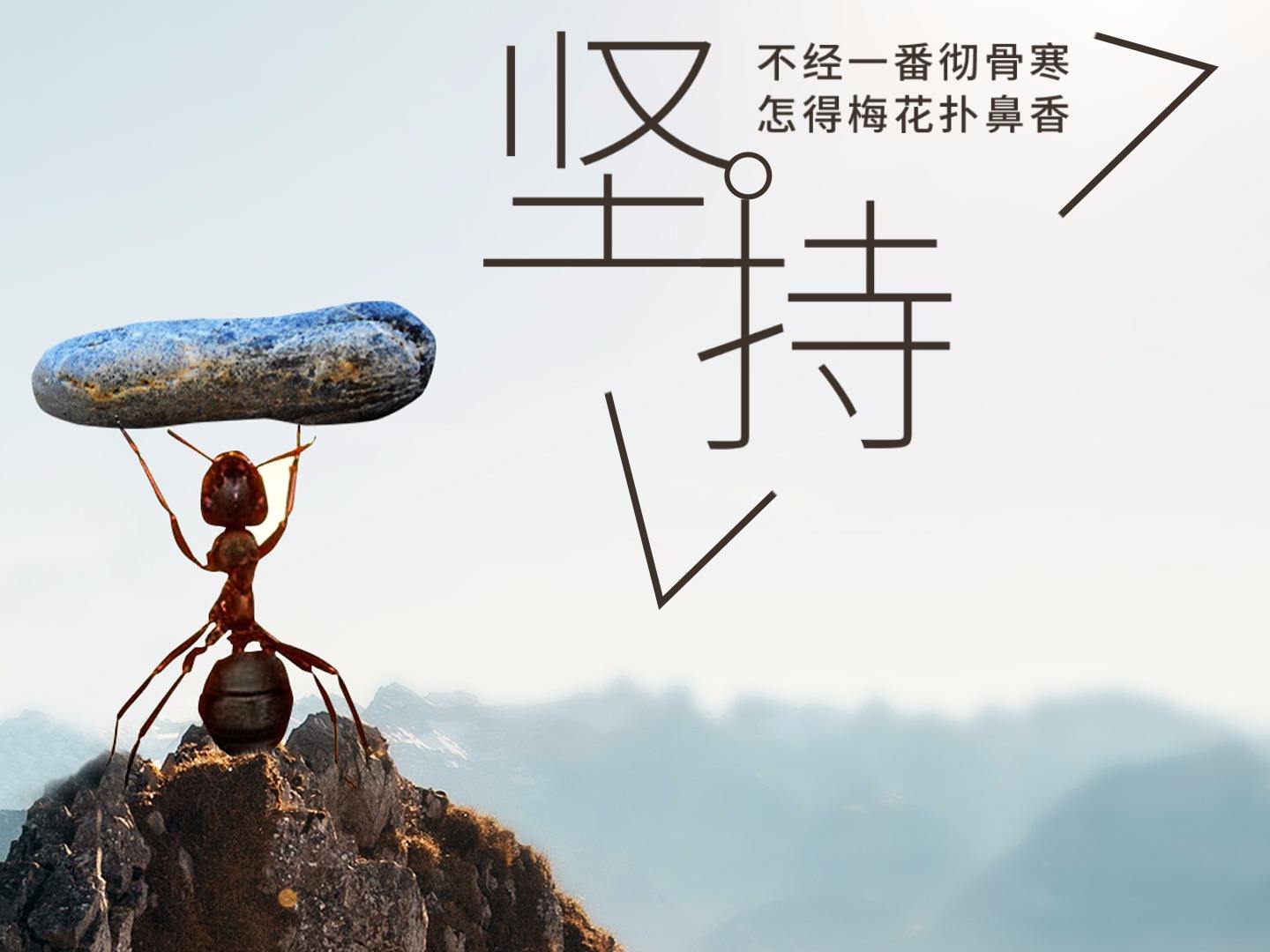 对于做网站坚持就是胜利