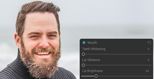 黑科技人像处理软件 Portrait AI 多语特别版 黑科技人像处理软件 Portrait AI 多语特别版