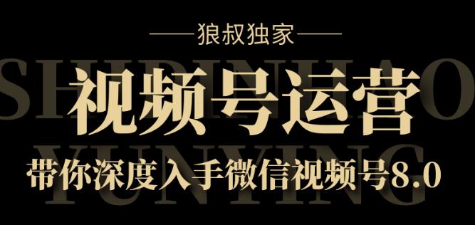 视频号运营课8.0，深度入手微信视频号