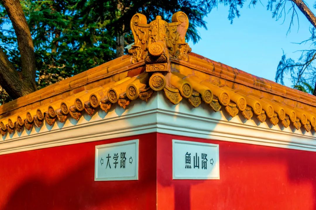 忽然，想去青岛了(图27)
