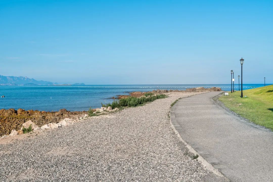 忽然，想去青岛了(图57)
