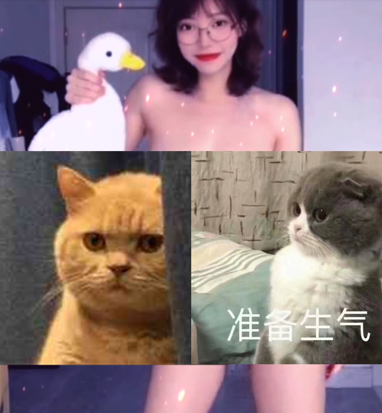 某女网红被AI合成“抓鸭子”进不雅视频 某女网红被AI合成“抓鸭子”进不雅视频