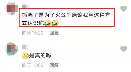 某女网红被AI合成“抓鸭子”进不雅视频