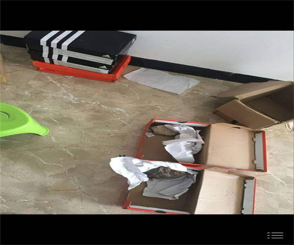 一个收费4888元的项目是个什么鬼? 创业 网络营销 经验心得 第9张