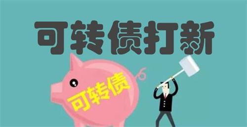 揭秘我每年靠可转债打新捡2W人民币 股票 经验心得 第1张