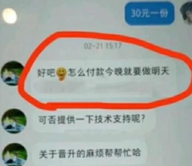 小众信息差项目：ppt模板打包出售