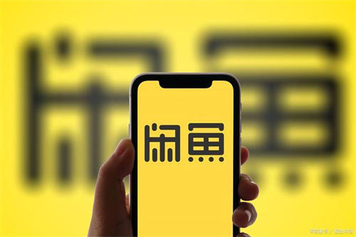 真正的闲鱼无货源玩法,别再给别割韭菜了 网赚 闲鱼 经验心得 第1张 真正的闲鱼无货源玩法,别再给别割韭菜了 网赚 闲鱼 经验心得 第1张
