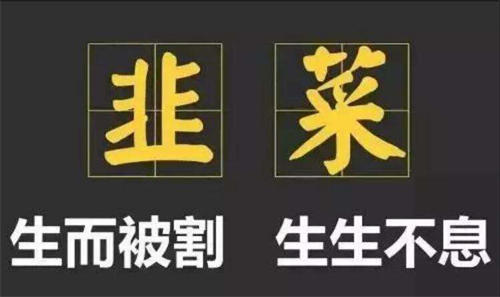 一直在找项目的人，我劝你一定要明白这几点 网赚 互联网 好文分享 第2张