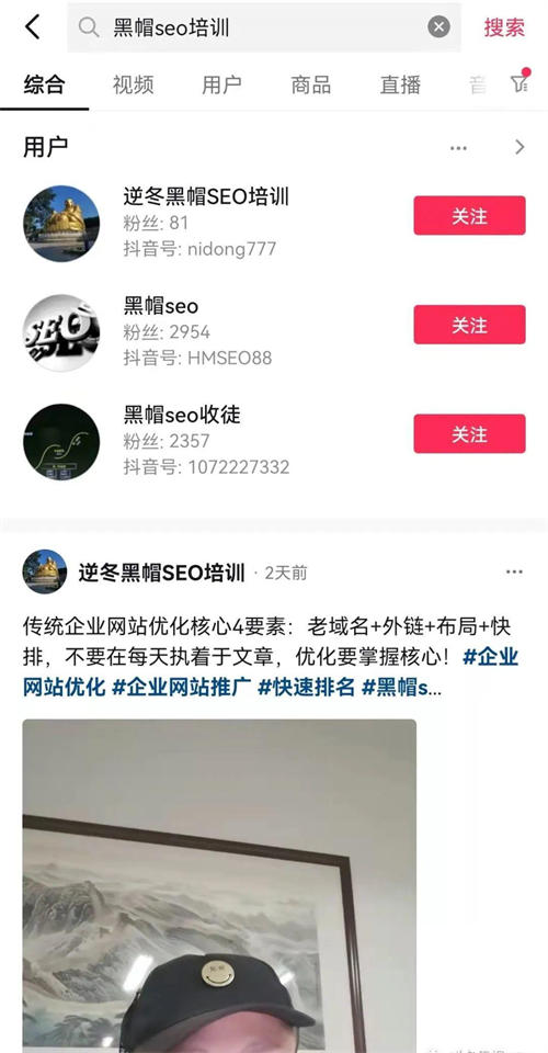 抖音SEO排名的3个核心秘密 SEO 抖音 经验心得 第2张 抖音SEO排名的3个核心秘密 SEO 抖音 经验心得 第2张