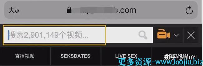 全球最大成人网站（P站）老板（菲拉斯·安图恩）豪宅被烧