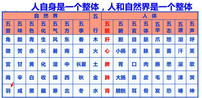 “高质量睡眠”引发是项目思考 流量 副业 网赚 经验心得 第6张 “高质量睡眠”引发是项目思考 流量 副业 网赚 经验心得 第6张