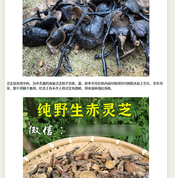 做网站,还是大有可为! 流量 网站 网站推广 SEO推广 第2张 做网站,还是大有可为! 流量 网站 网站推广 SEO推广 第2张