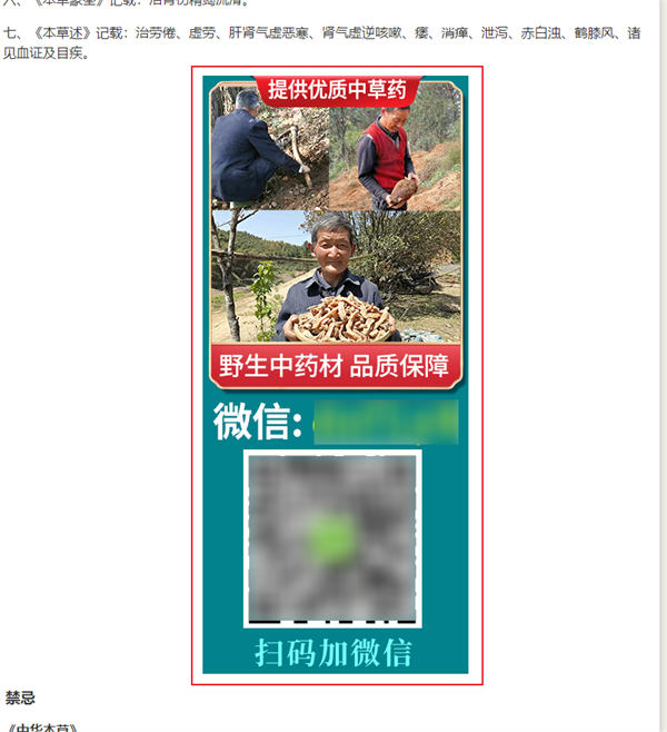 做网站,还是大有可为! 流量 网站 网站推广 SEO推广 第3张 做网站,还是大有可为! 流量 网站 网站推广 SEO推广 第3张