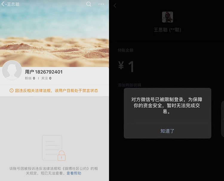 王思聪疑似全网炸号 个人IP 科技大佬 微新闻 第1张