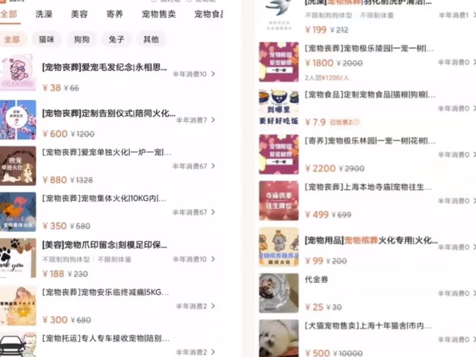 冷门蓝海宠物市场类目：宠物殡葬项目思路玩法，适合小白操作的项目！
