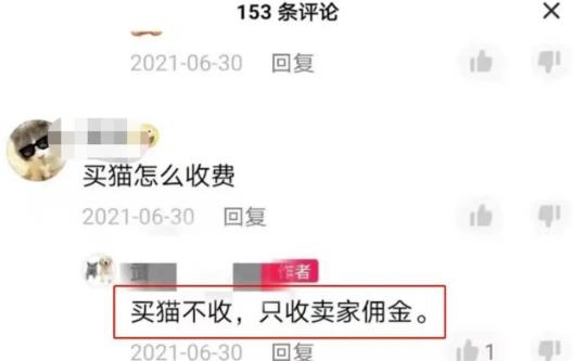 抖音热门同城副业项目，无脑操作一天500+